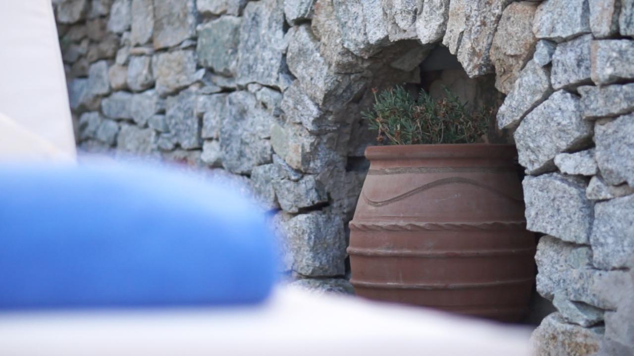 Dionysos Luxury Hotel Mykonos Ornós Eksteriør bilde